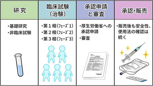 薬の開発の流れ